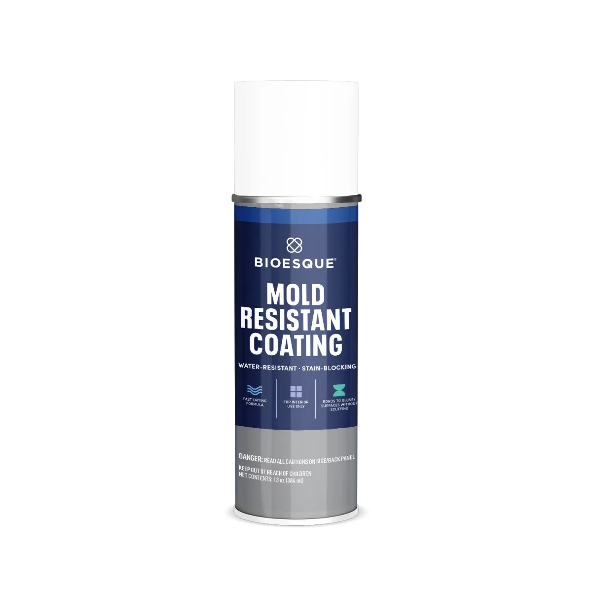 11006 BIOESQUE MOLD RESISTANT COATING, 13OZ AEROSOL CAN, 6/CASE BMRCWA SOLD BY THE CAN