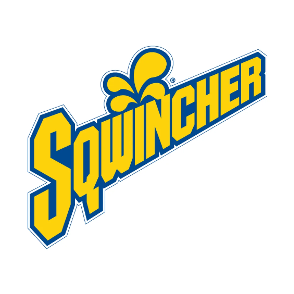 80007 SQUINCHER ELECTROLYTE FREEZER POPS VARIETY/ASSORTED CASE OF 150, INCLUDES GRAPE, CHERRY, ORANGE, LEMON LIME, FRUIT PUNCH, 150/CS ORS ITEM 690-159060962